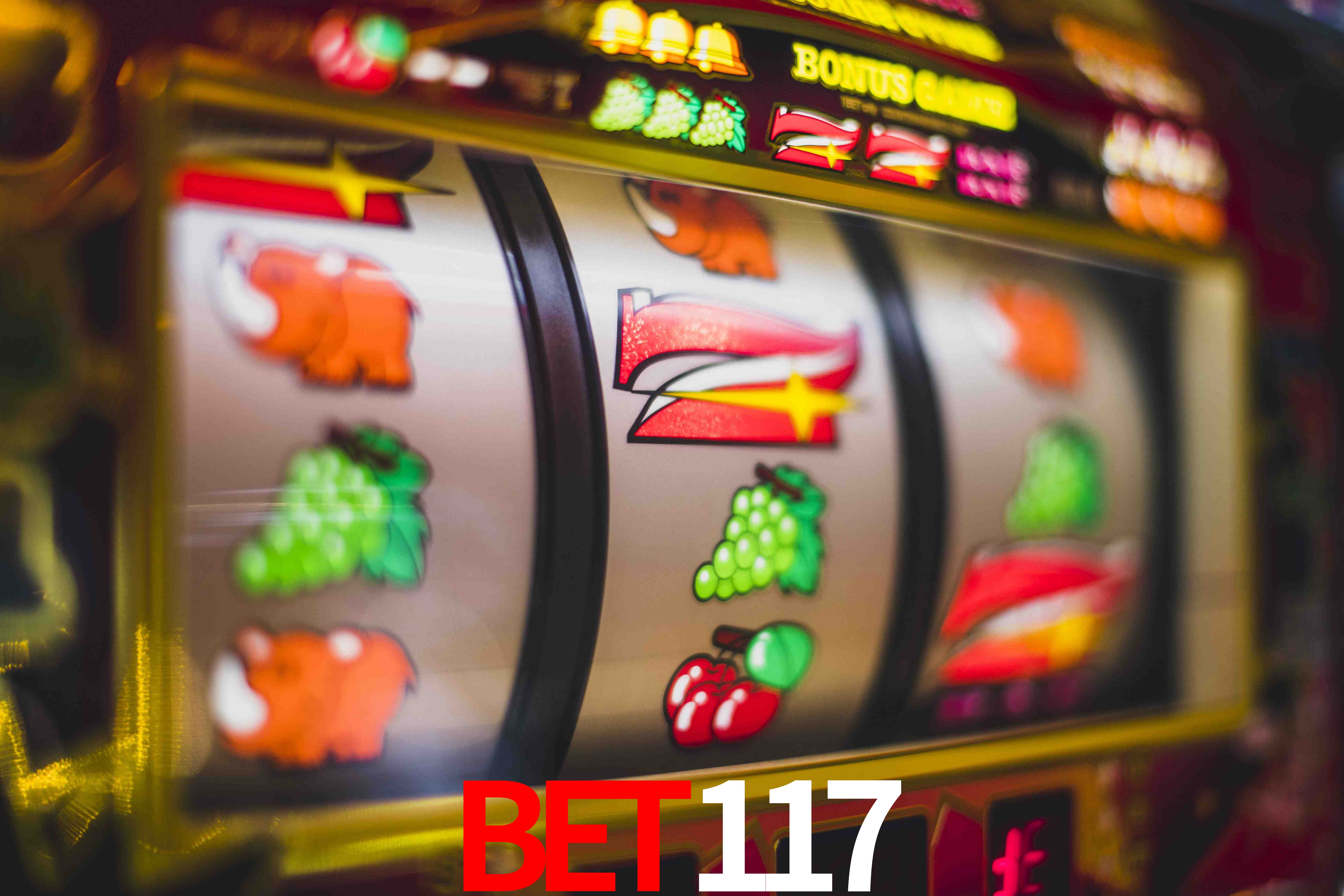 Experiência VIP bet117